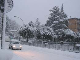 foto bufera di neve del 24 gennaio 2004 9